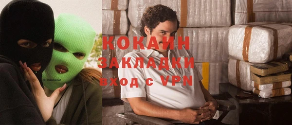 шишки Белокуриха