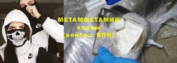 шишки Белокуриха