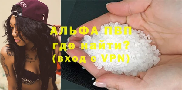 шишки Белокуриха