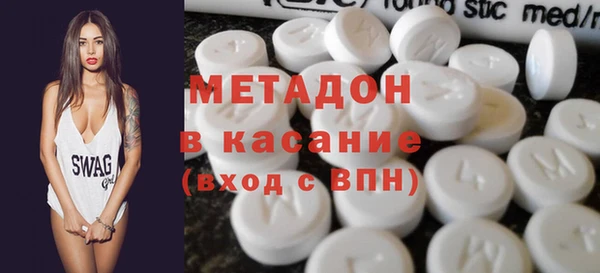 шишки Белокуриха