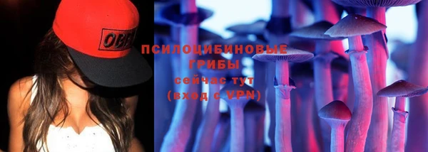 бошки Осташков
