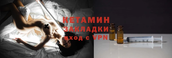 шишки Белокуриха