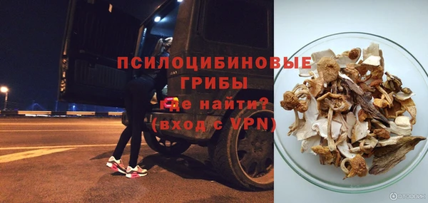 шишки Белокуриха