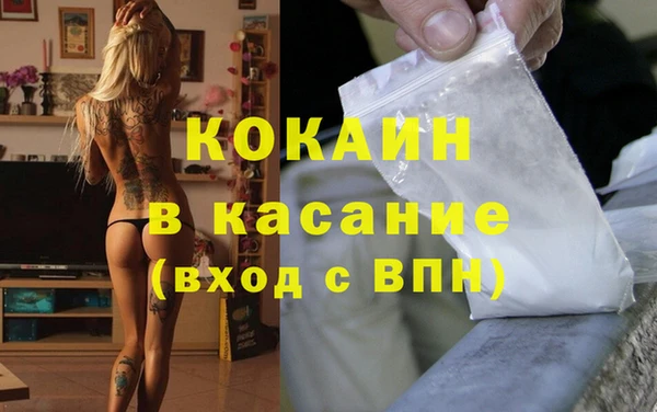 шишки Белокуриха