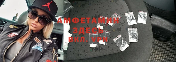 шишки Белокуриха